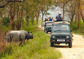 Kaziranga Tour Package Assam